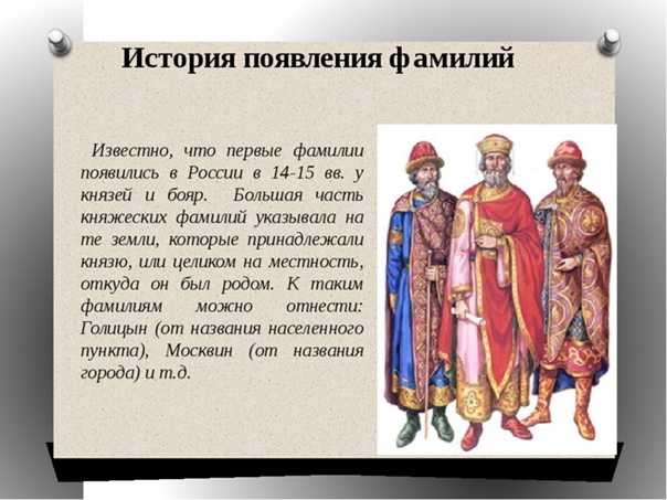 Ип мунгалова ольга николаевна