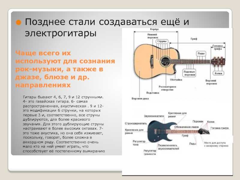 История возникновения гитары проект