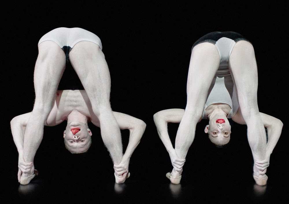 Nederlands dans theater
