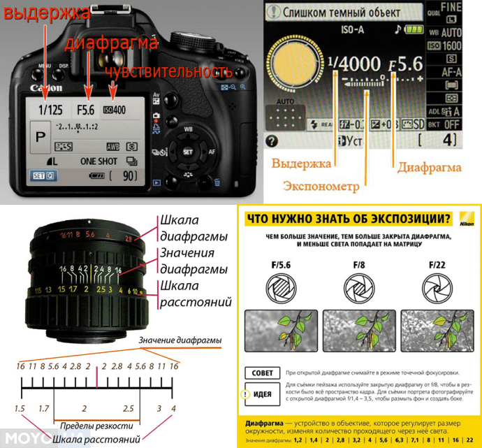 Что такое правильная экспозиция в фотографии