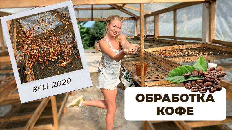 Яак йоала - биография, новости, личная жизнь, фото, видео - stuki-druki.com