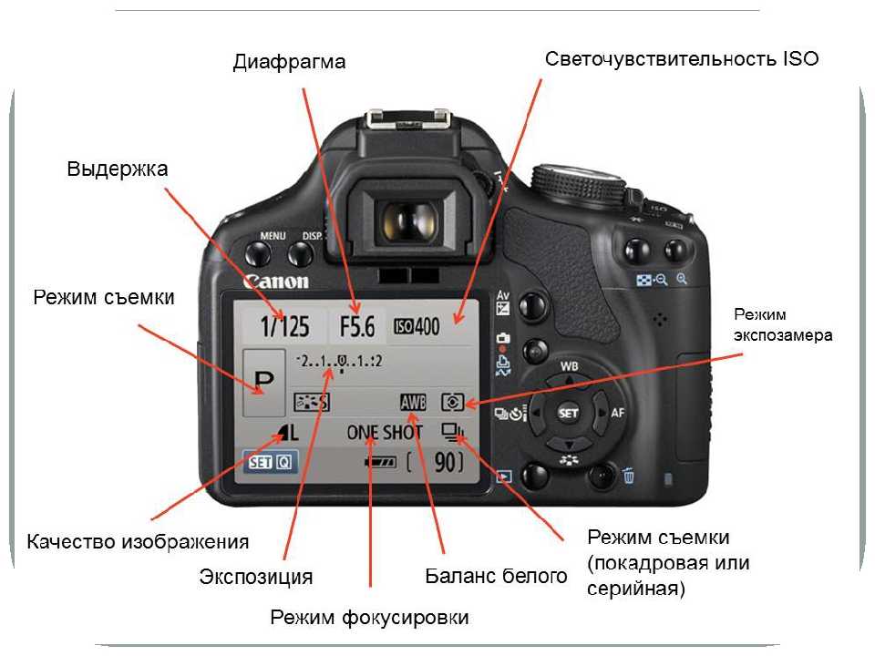 Тип видоискателя позволяющий видеть прямое изображение снимаемого объекта