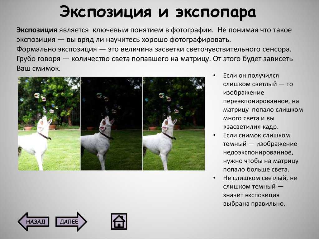 Экспозиция: теория