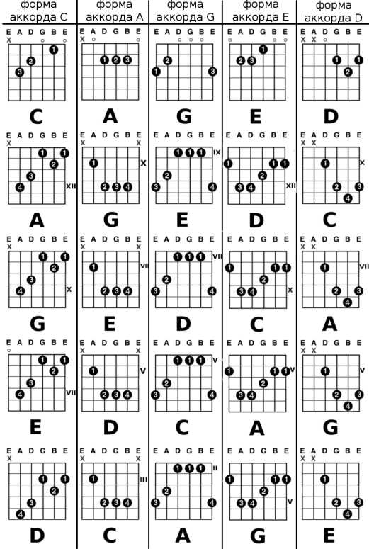 Аккорды в тональности - таблица с примерами и описаниями, последовательность аккордов в тональности. минорные аккорды для гитары. минорные трезвучия в гитарном варианте