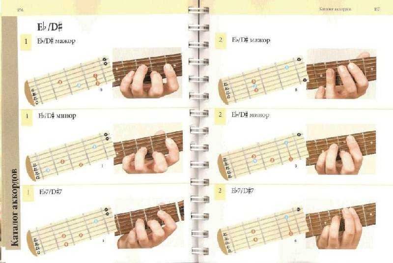 Как научиться играть на гитаре самостоятельно с нуля