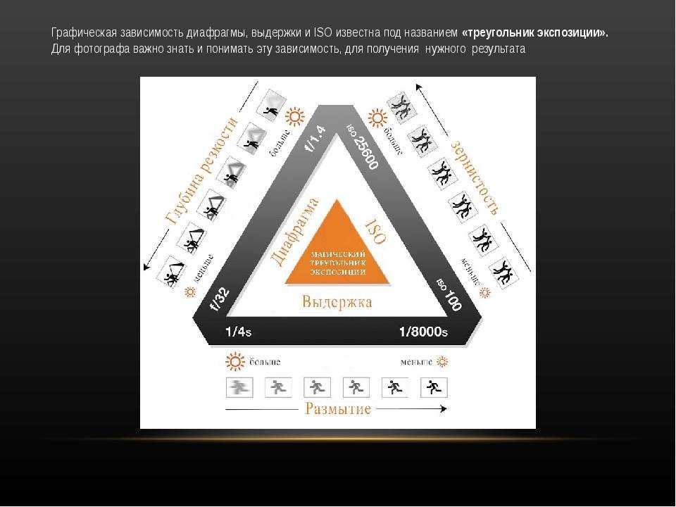 Экспозиция - это что такое? музейная экспозиция