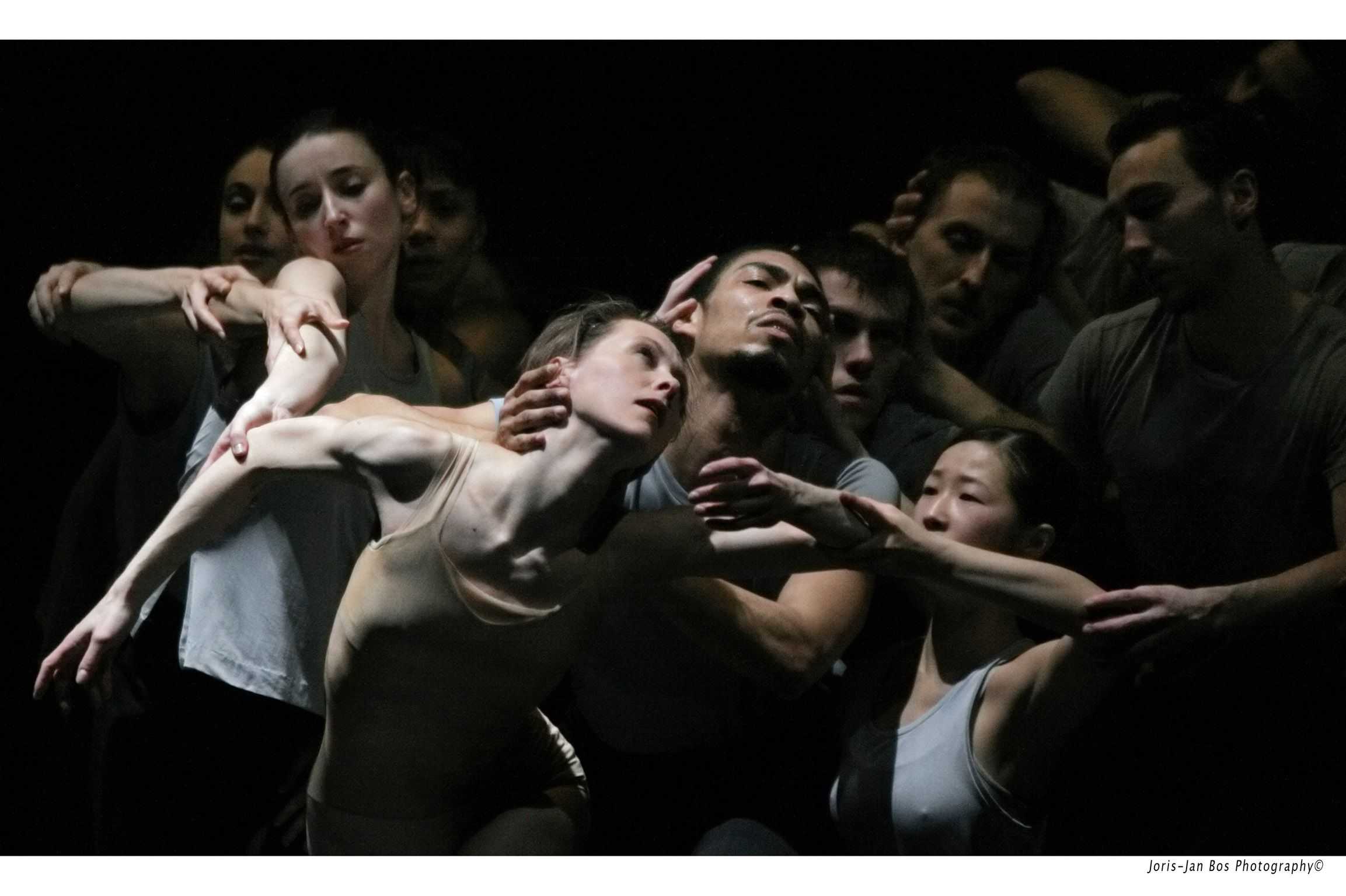 Nederlands dans theaterсодержание а также основатели [ править ]