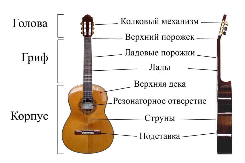 Схема устройства гитары