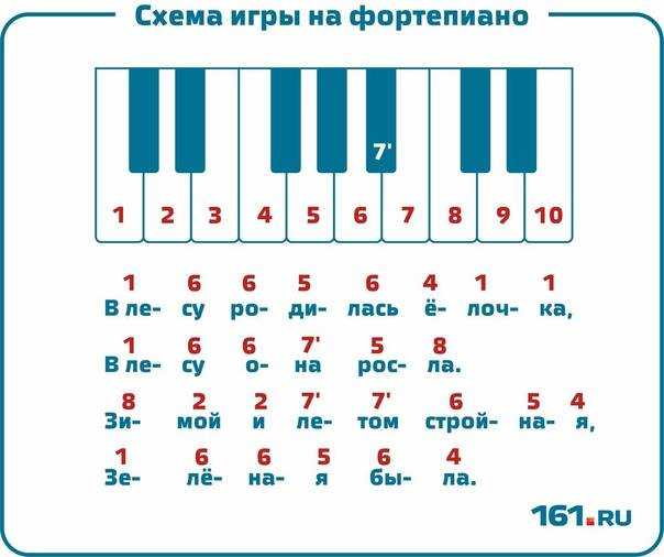 Собачий вальс на синтезаторе по клавишам для начинающих в картинках