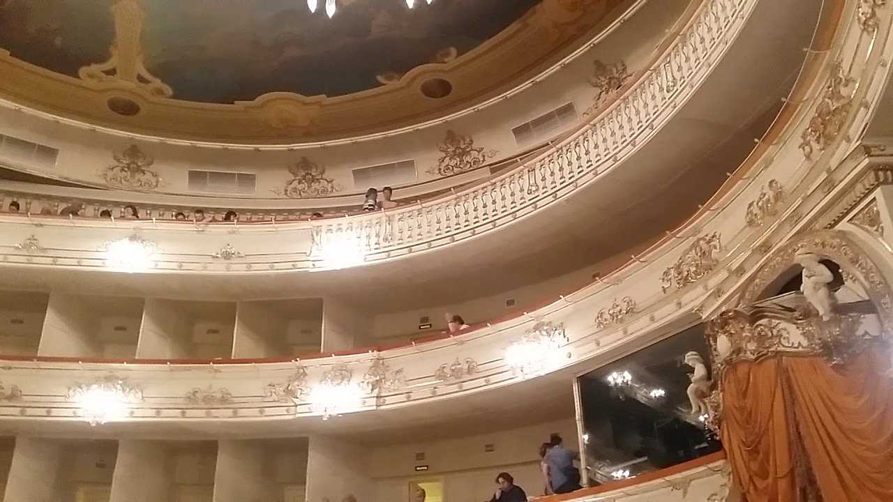 Нежданно негаданно михайловский театр