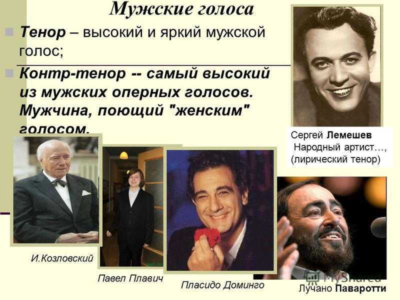 Классификация голоса