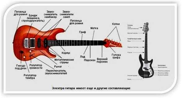 Бас-гитара — музыкальный инструмент — история, фото, видео | eomi энциклопедия
