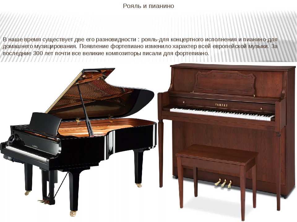 Клавесин рояль. Клавесин пианино рояль фортепиано разница. Пианино фортепиано рояль отличия. Рояль и пианино. Фортепиано и пианино разница.