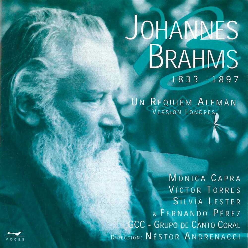 Иоганнес Брамс (1833-1897). Johannes Brahms. Брамс портрет. Немецкий Реквием Иоганнес Брамс. Слушать брамса 4 часа