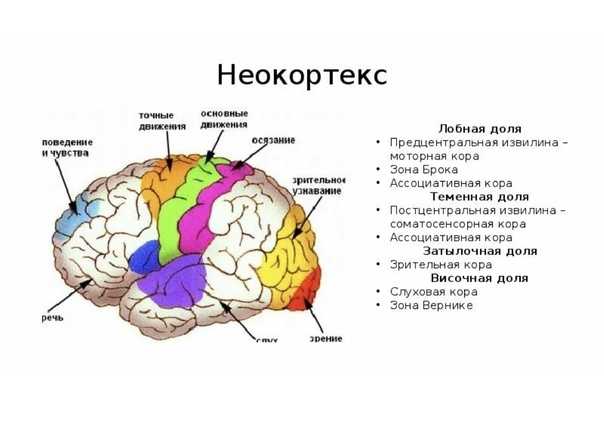Структура эмоционального текста для соцсетей