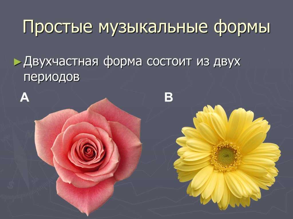 Схема двухчастной формы в музыке