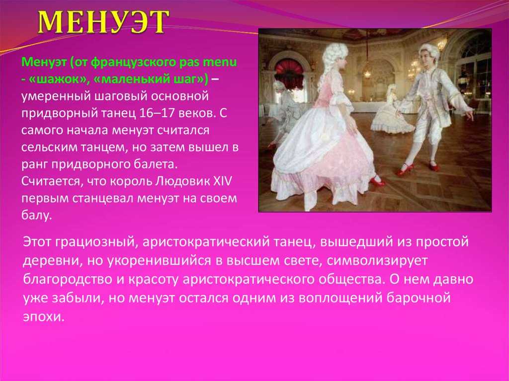 Кошка наполеон:  коротколапый пушистый питомец