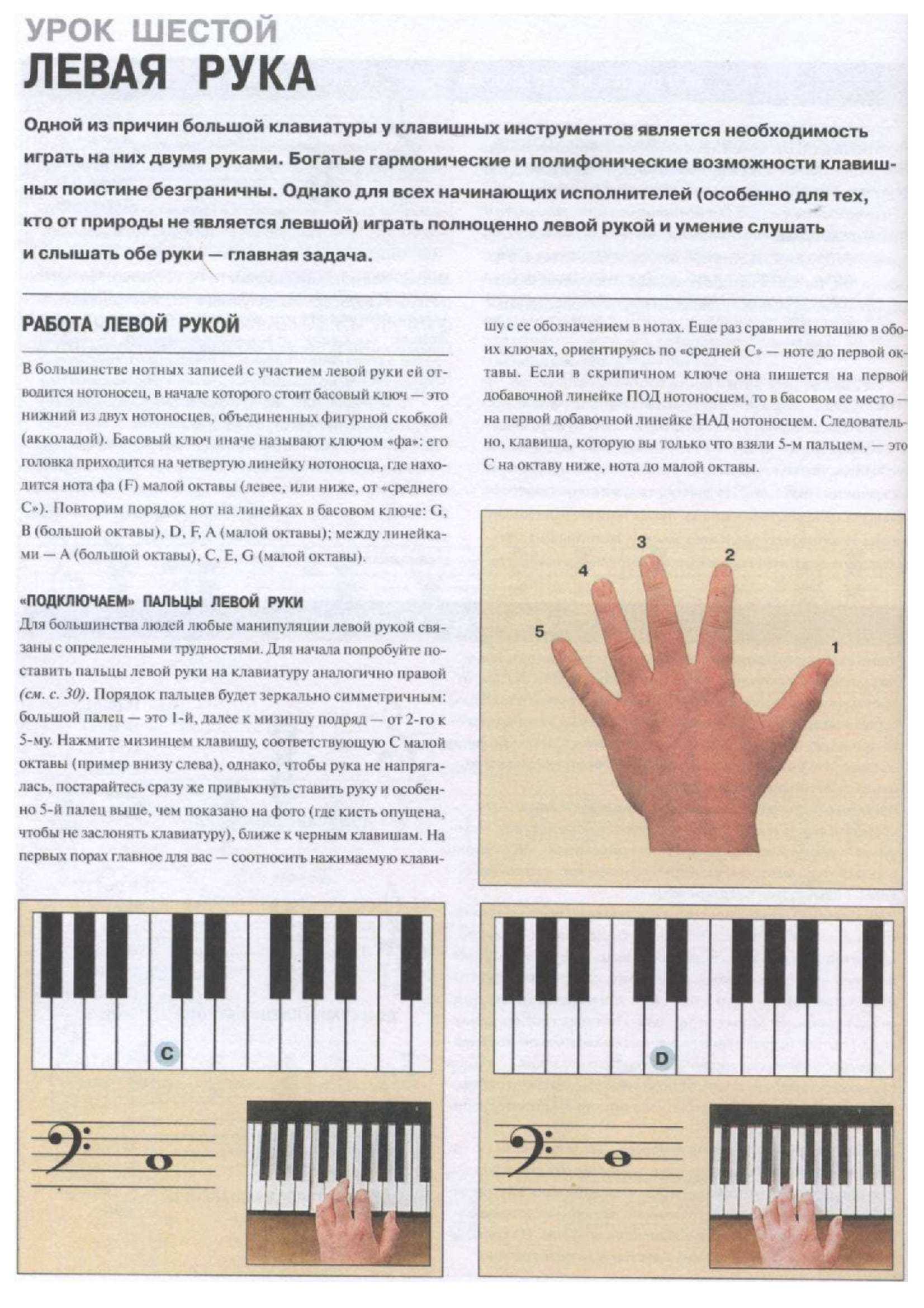 Аккорды для начинающих с пальцами. Таблица аккордов для синтезатора. +Самоучитель для синтезатора. Аккорды для игры на синтезаторе. Левая рука на фортепиано.