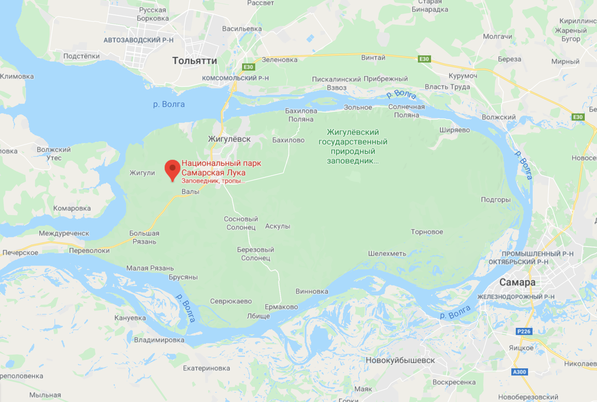 Ночь на лысой горе