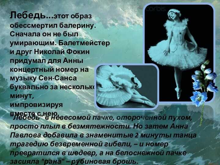 Умирающий лебедь - the dying swan