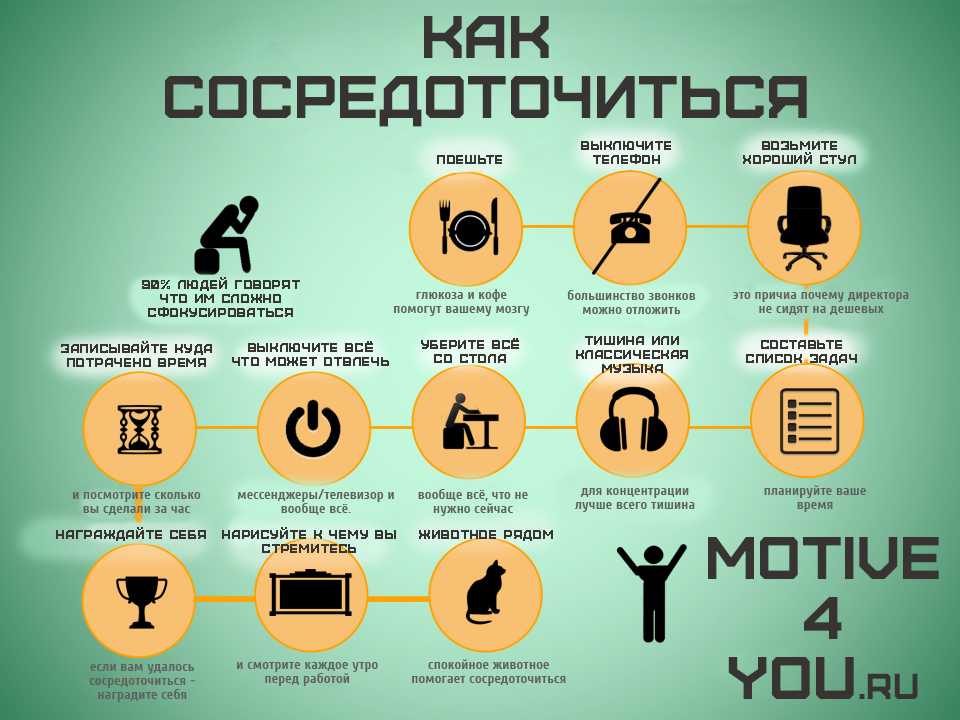 Стать музыкантом в домашних условиях | сила лиса