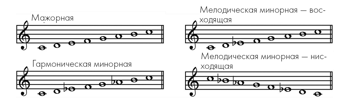 Контрагент ооо "диатоника"