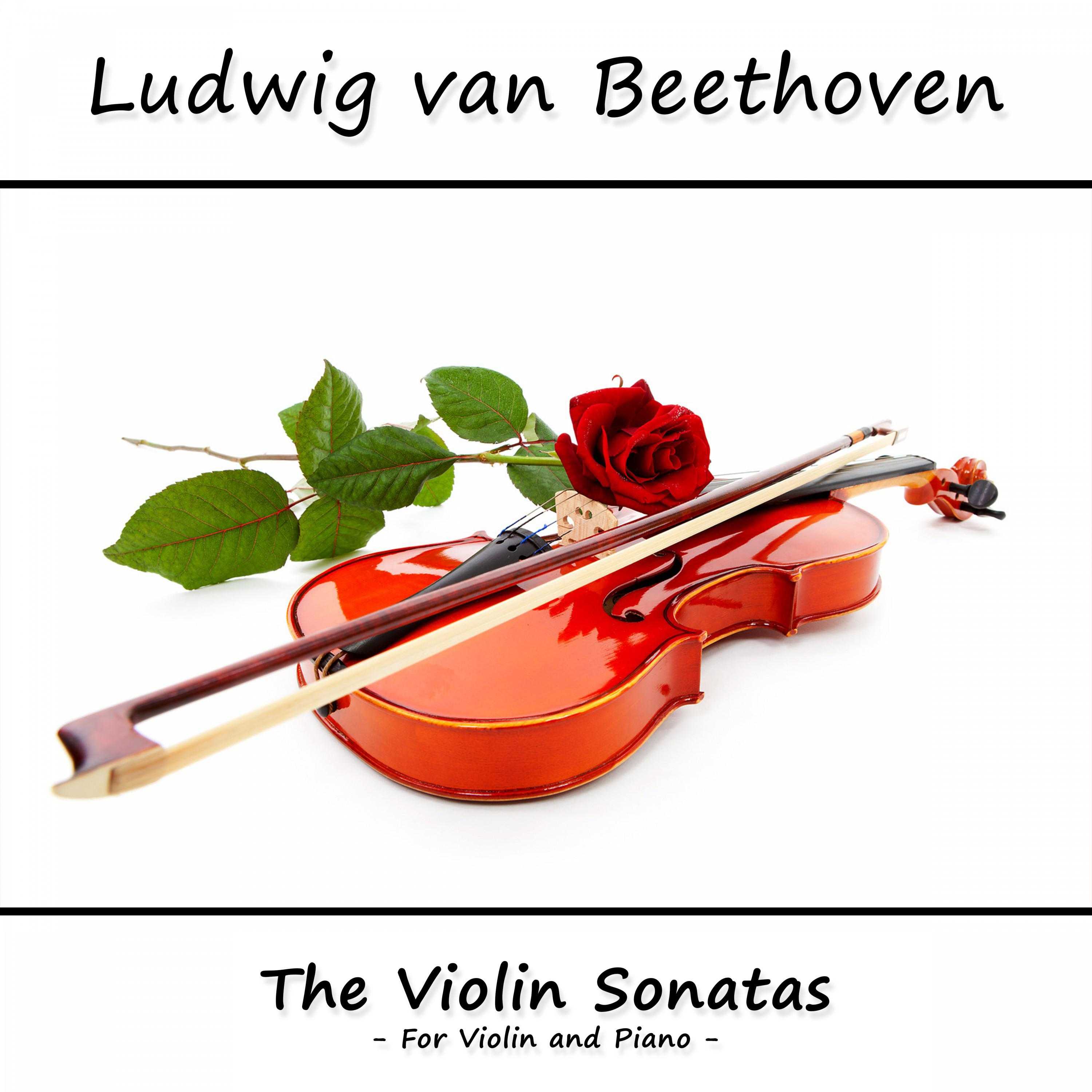 Сонатина скрипка. Violin Sonatas. Соната для скрипки. Viola Weber. Violin Sonata no.10 in g, op.96 Ludwig van Beethoven.