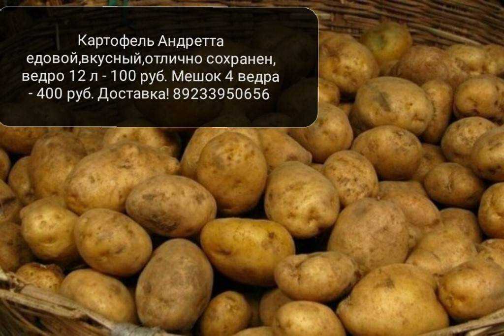 Жан-батист арбан