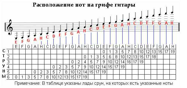 Аккорды на гитаре для новичков, картинки, расшифровка аккордов
