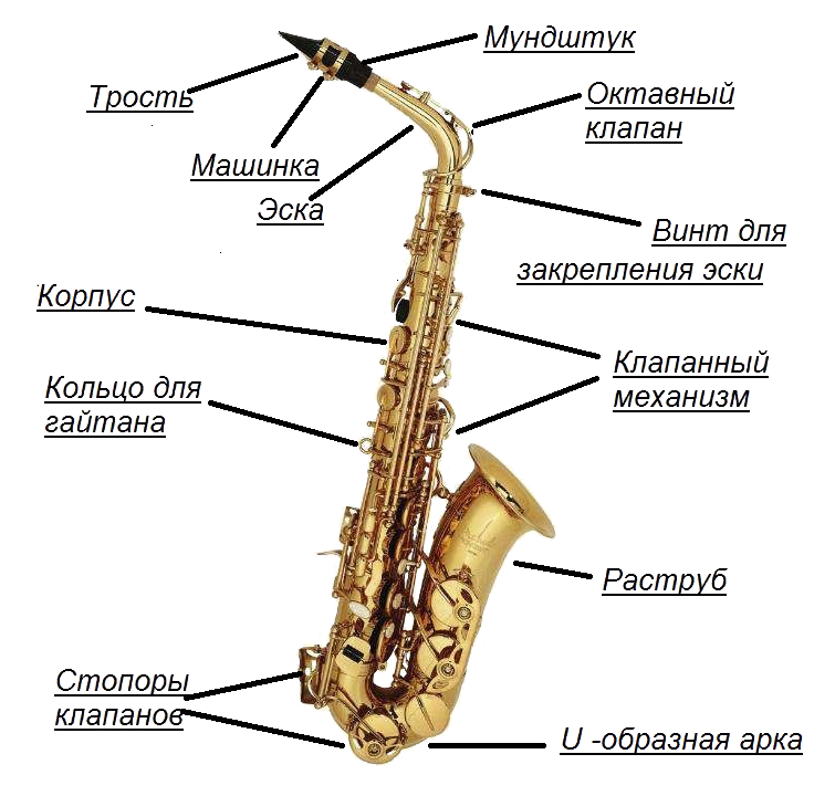 Части музыкального инструмента. Саксофон Альт и тенор. Устройство саксофона Альт схема. Строение саксофона. Саксофон строение схема.