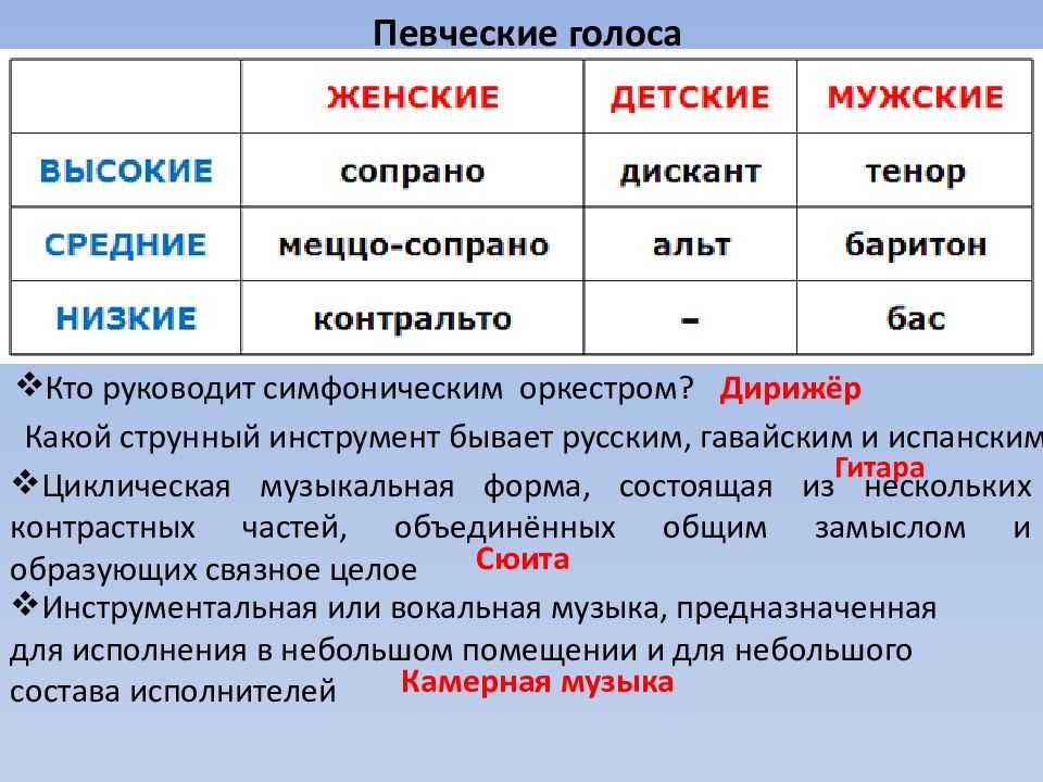 Проект певческие голоса