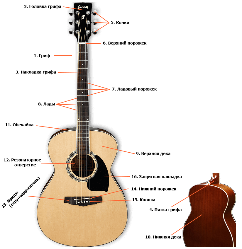 Звуки 6 струнной гитары. Из чего состоит гриф классической гитары. Гитары ширина грифа 5.1 акустика. Схема устройство деки акустической гитары.
